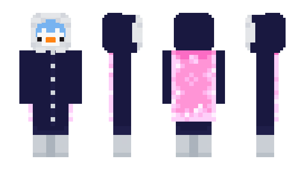 Minecraft skin coacxis