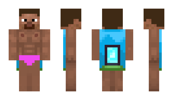 Minecraft skin nicPillows