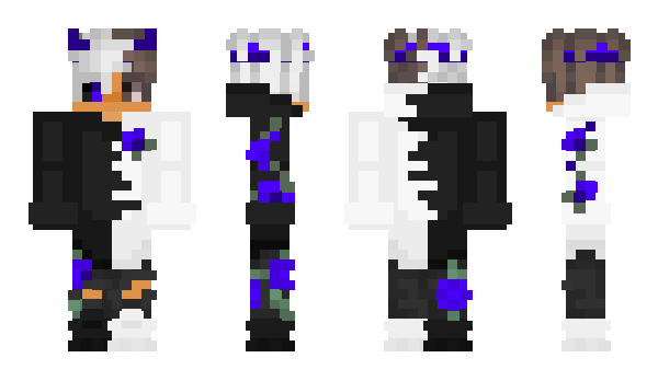 Minecraft skin vaet