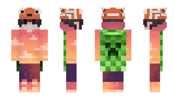 Minecraft skin PolicyHolder