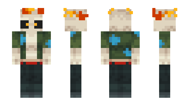 Minecraft skin sonarcoupe