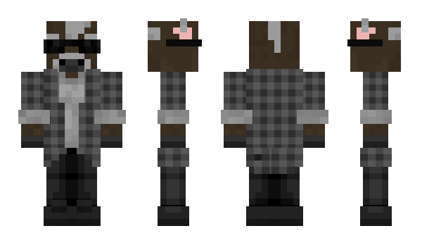 Minecraft skin Hedrix