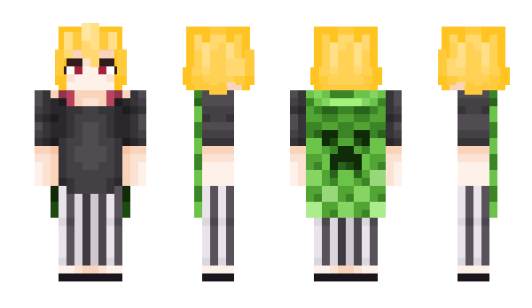 Minecraft skin SeikaIjichi