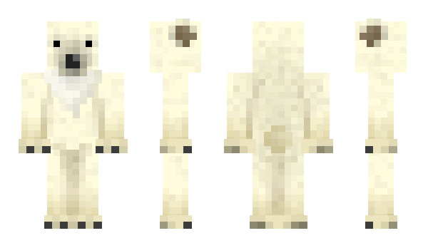 Minecraft skin CircleNine