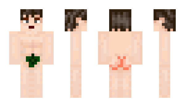 Minecraft skin InokeR