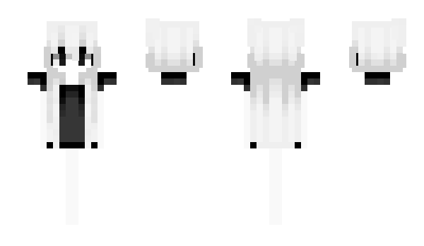 Minecraft skin ussq