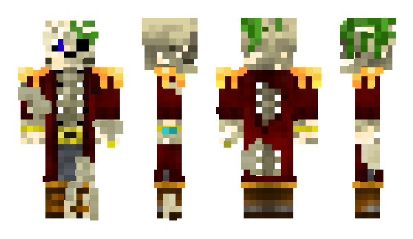 Minecraft skin kokoskapro