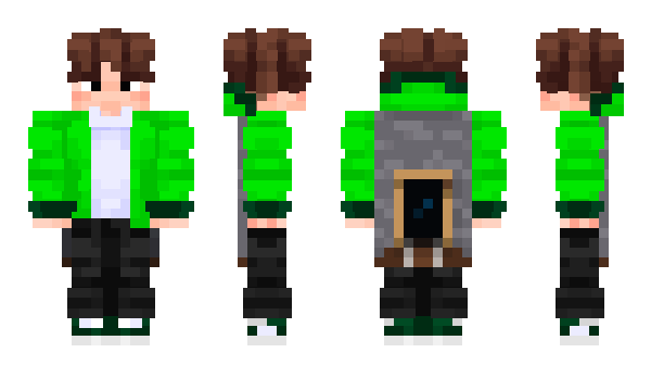 Minecraft skin TAM3RLAN
