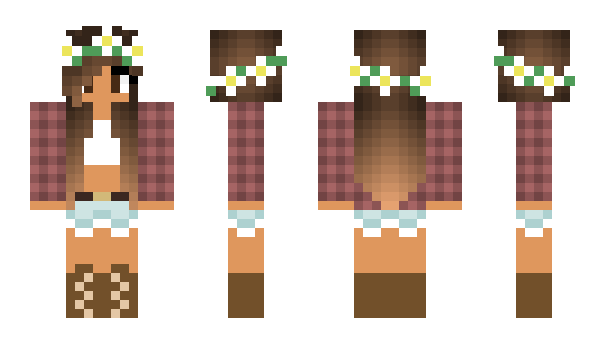 Minecraft skin SBSD