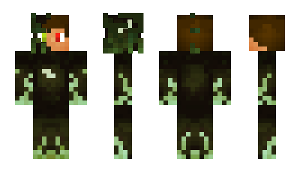 Minecraft skin metmonster