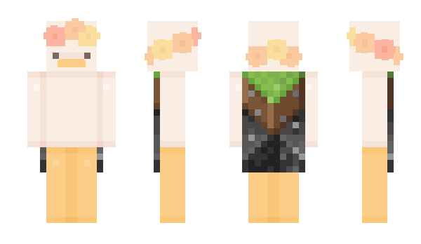 Minecraft skin Kattified