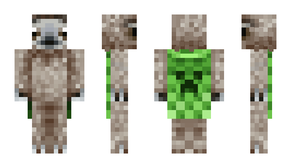 Minecraft skin Hypoxel