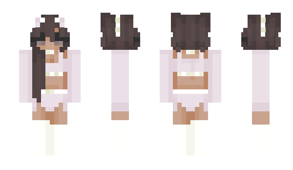 Minecraft skin GoBrr