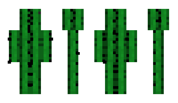 Minecraft skin Zexous