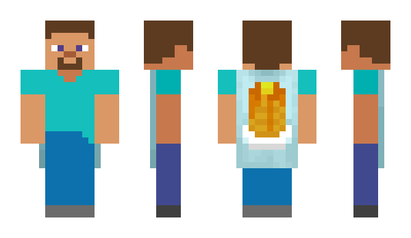 Minecraft skin vixsonix