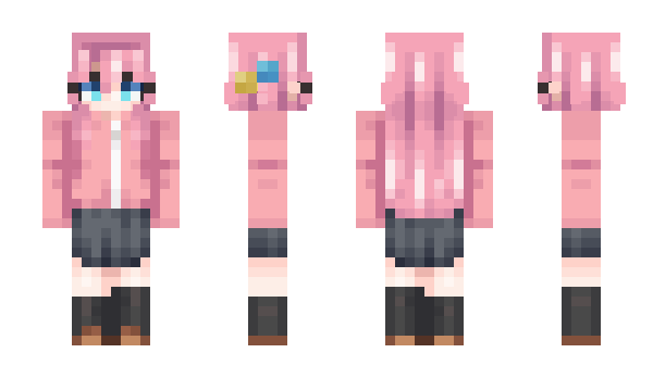 Minecraft skin Vipol