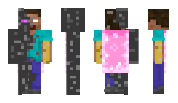 Minecraft skin ProDragon19