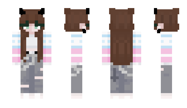 Minecraft skin FrostyAce05