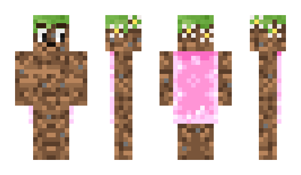 Minecraft skin Advancec