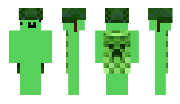 Minecraft скин по нику Parsty