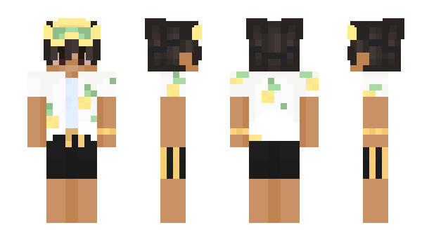 Minecraft skin liltae