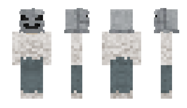 Minecraft skin LFRE