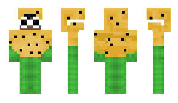 Minecraft skin Fhb