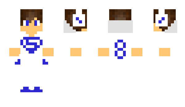 Minecraft skin snowblak