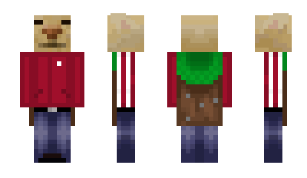 Minecraft skin IIRAKESSS