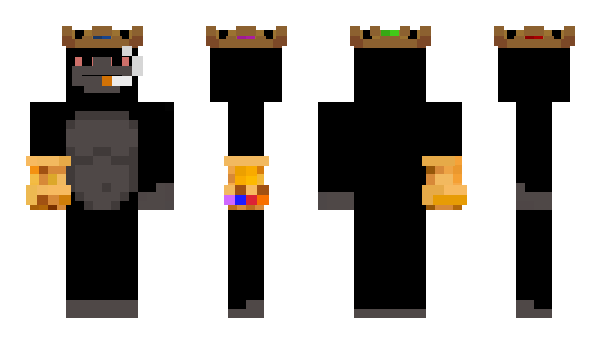 Minecraft skin Vinisus