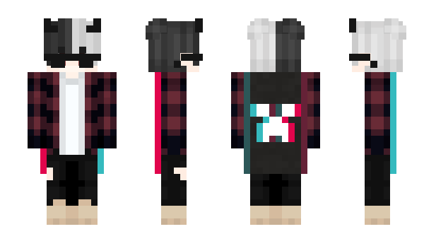 Minecraft skin 1iga