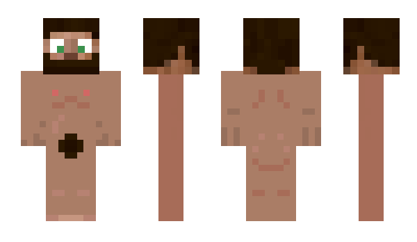 Minecraft skin artician