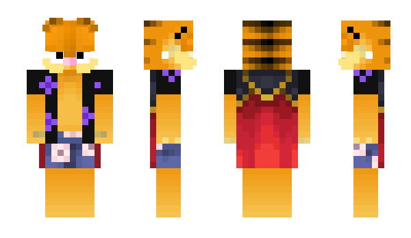 Minecraft skin Winnaar