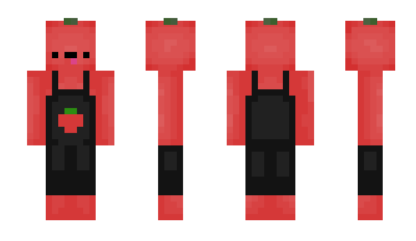 Minecraft skin SalmonCH