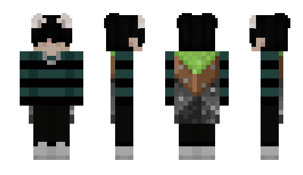 Minecraft skin Eithaann