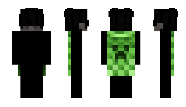 Minecraft skin ssouthpole