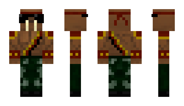 Minecraft skin polersmear