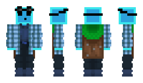 Minecraft скин по нику blocj