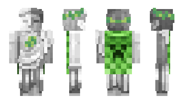 Minecraft skin Proverbs2611