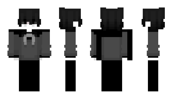 Minecraft skin NASAK1KUNGG