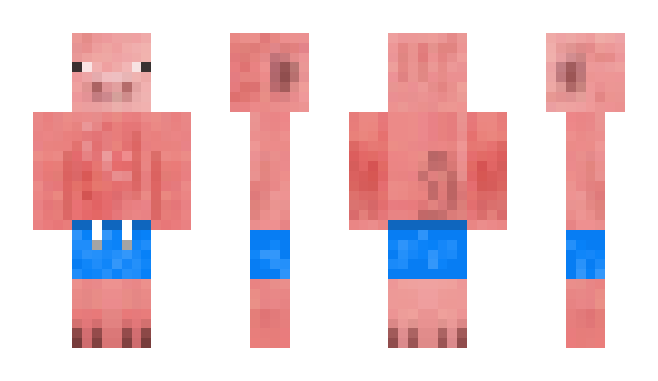 Minecraft skin PigKiller91