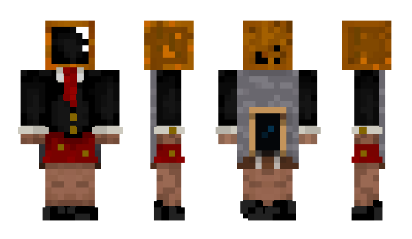 Minecraft skin TIPUN