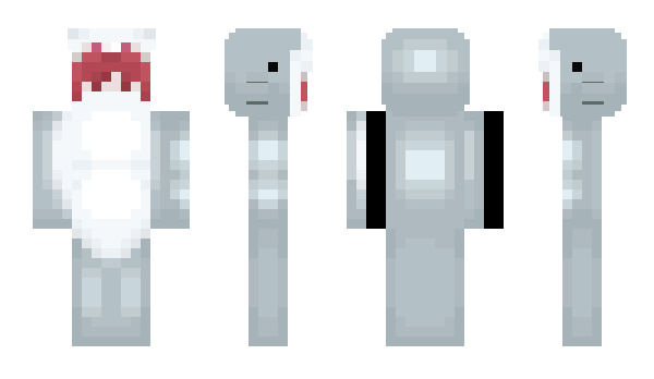 Minecraft skin Coatboy