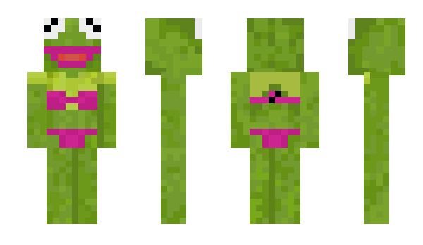 Minecraft skin Starryl