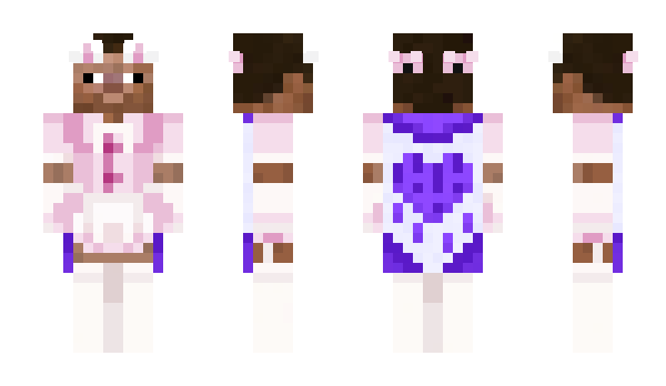 Minecraft skin WSNU