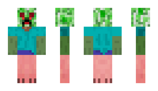 Minecraft skin dodo7