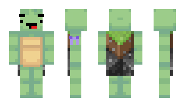 Minecraft skin xcTurtle