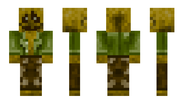 Minecraft skin DZCO