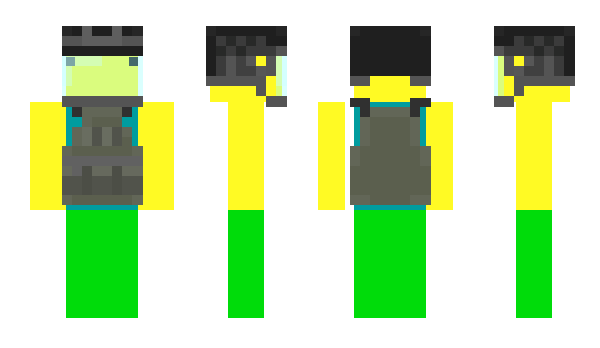 Minecraft skin videogam