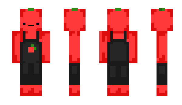 Minecraft skin makeam